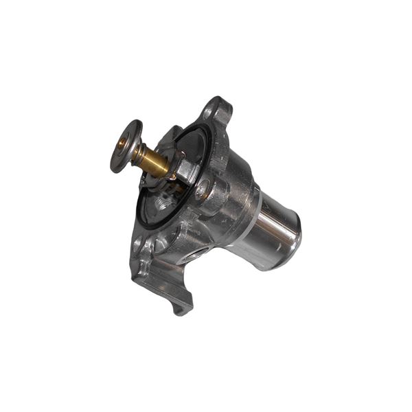 GOVDE TERMOSTAT 2.3 JTD    DCT - BRUCKE