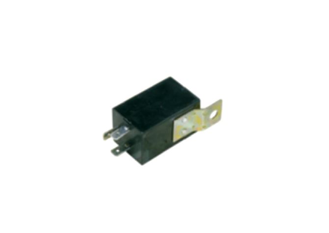 FLASOR FORD CARGO 24V UC UCLU - REMARK